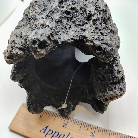 TOP FIN Log Decor - Picture 7 of 8